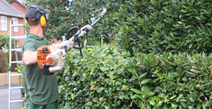Garden Supplies Exeter