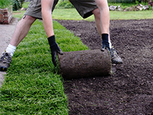 Gardeners Exeter